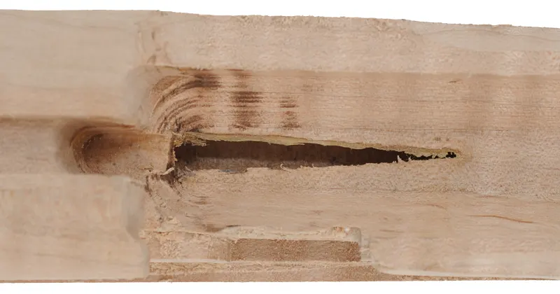 Stock Second J P Beck, Lebanon,
"B" profile 44" swamped barrel, large Siler lock, 
fancy maple, sliding wood patchbox, ramrod runout