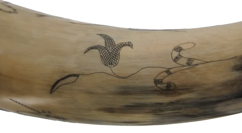 Powder Horn,
12", scrimshaw British Coat of Arms,
Crown Point Fort, raised lip for strap