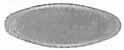 Inlay, Tiny Oval, 
0.75" by 0.29" brass 0.040" thick