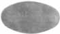 Inlay, Large Oval, 
2.16" by 1.17", nickel silver 0.040" thick 